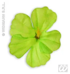 Set Van 18 Hibiscus Bloemen -Kostuum Markt 2379h g 3