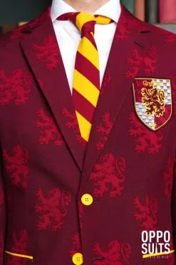 Harry Potter Zweinstein Griffoendor Wapen Man Kostuum -Kostuum Markt osui 0080 2 12