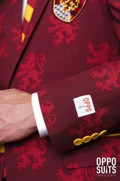 Harry Potter Zweinstein Griffoendor Wapen Man Kostuum -Kostuum Markt osui 0080 4 12