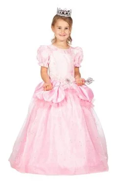 Roze Droom Prinses Aleida Meisje Kostuum